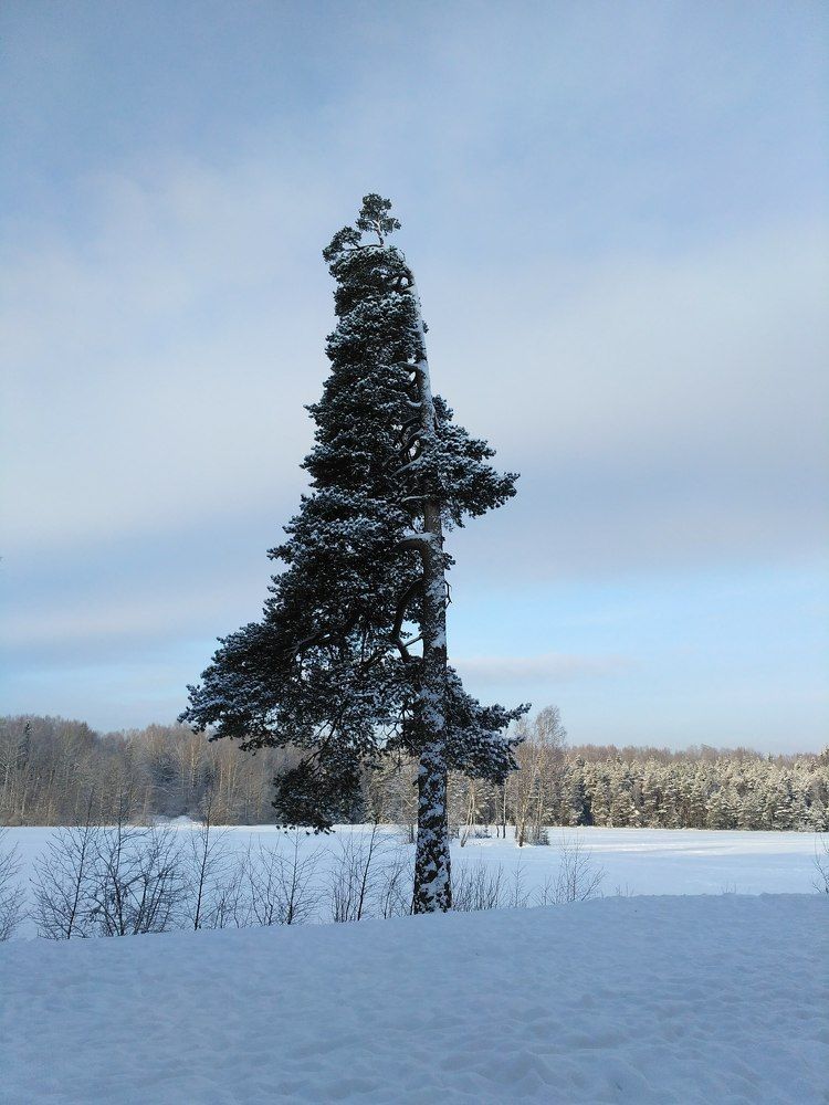 Photograph by Денис Терехин