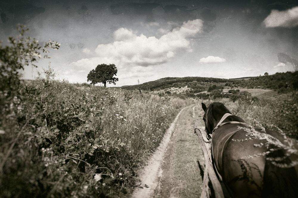 Фотография автора Строкова Екатерина