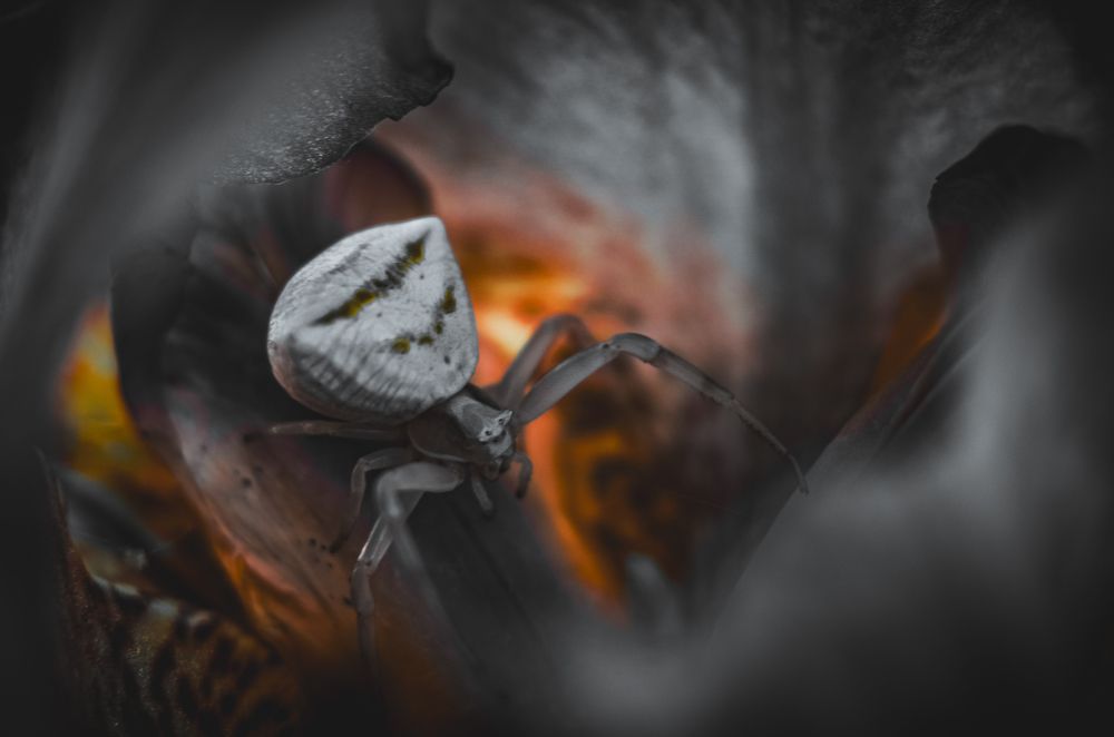 Фотография автора Наталья Алексеева