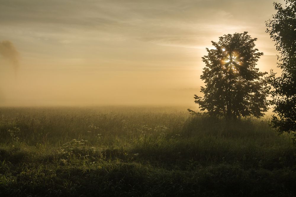 Photograph by Алексей