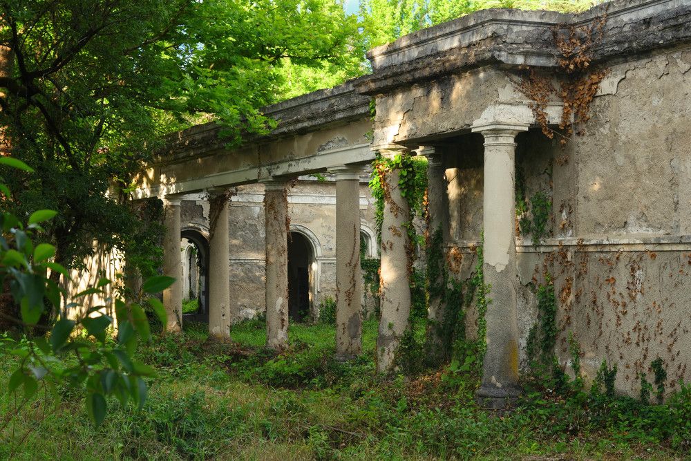 Photograph by Andrey Kim