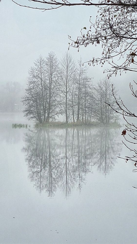 Photograph by Оксана Новикова