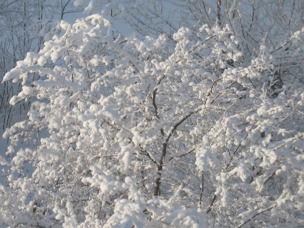 Photograph by Орл Про