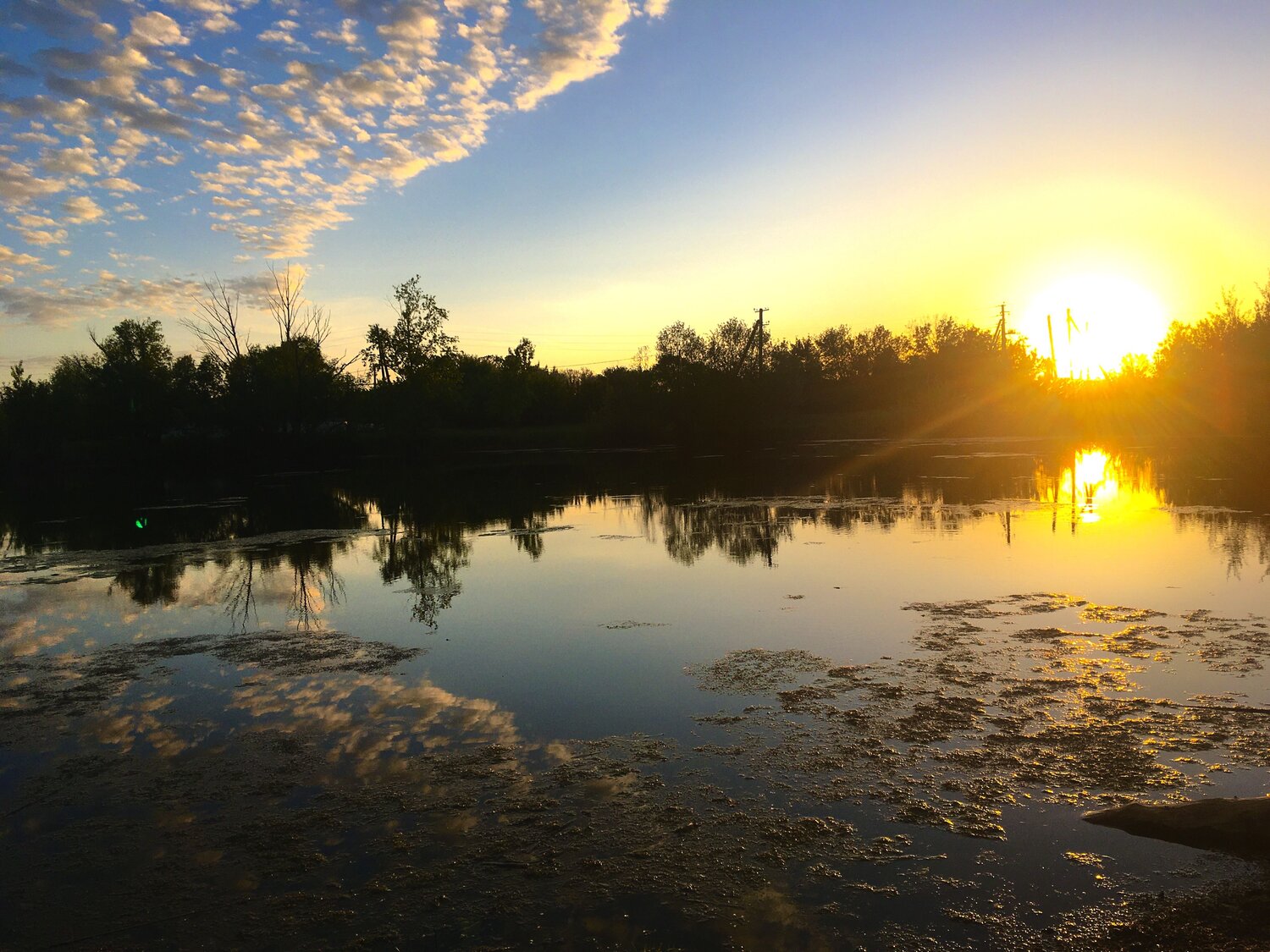 Photo #10634621
