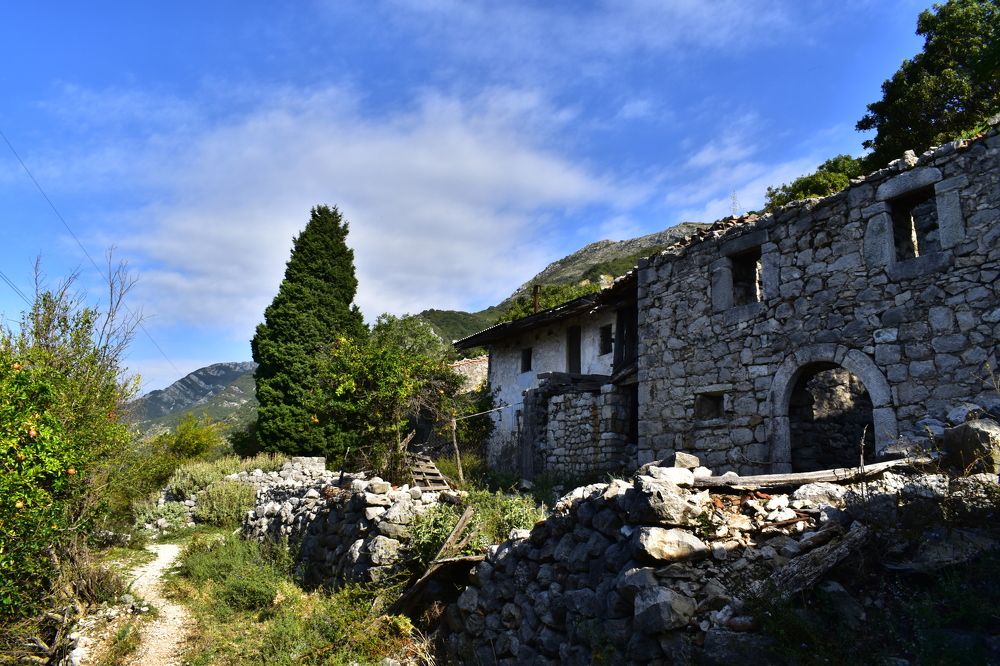 Photograph by Сергей Садчиков