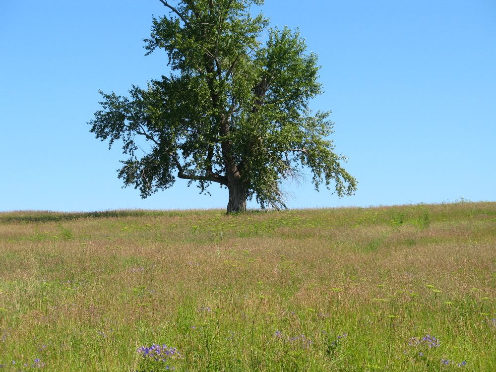 Photograph by Орл Про