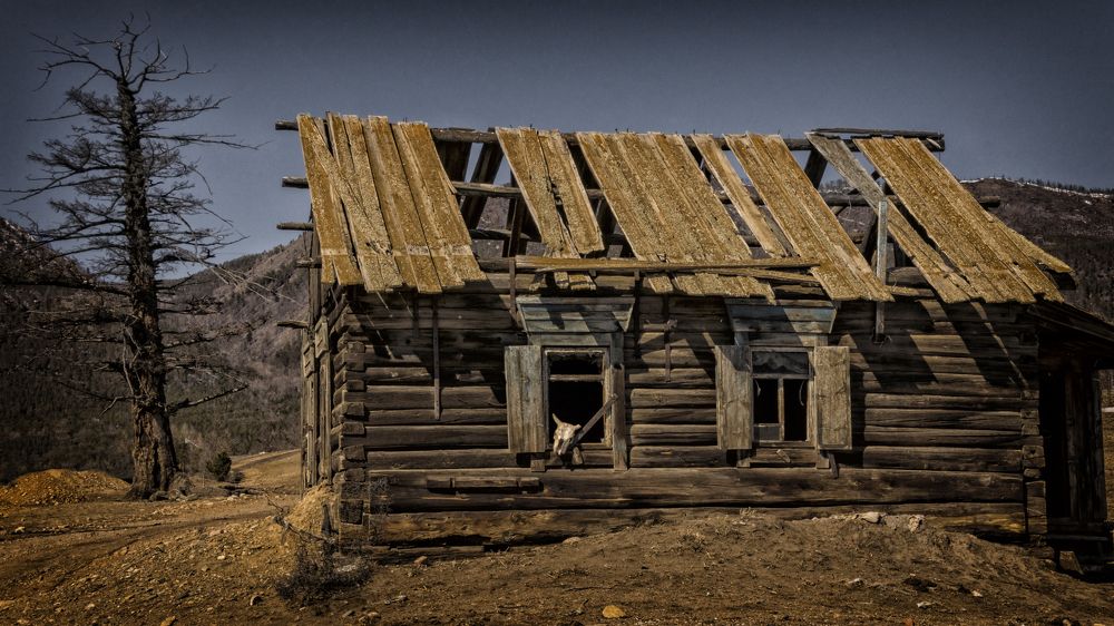 Фотография автора Степан Давыдов