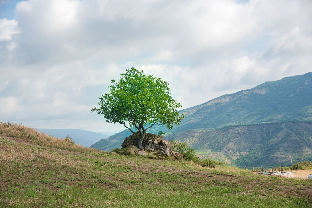 Photograph by Andrey Kim