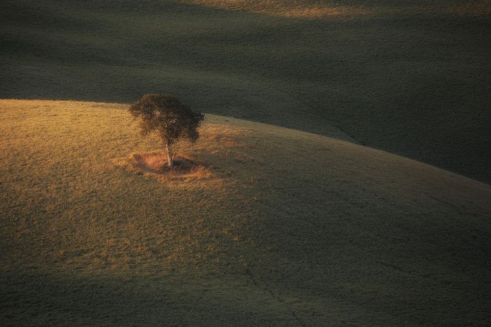 Photograph by Thomas de Franzoni