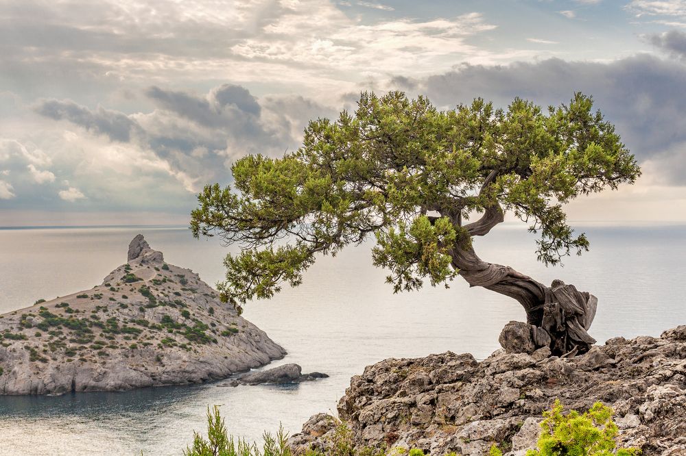 Photograph by Сергей Стратов