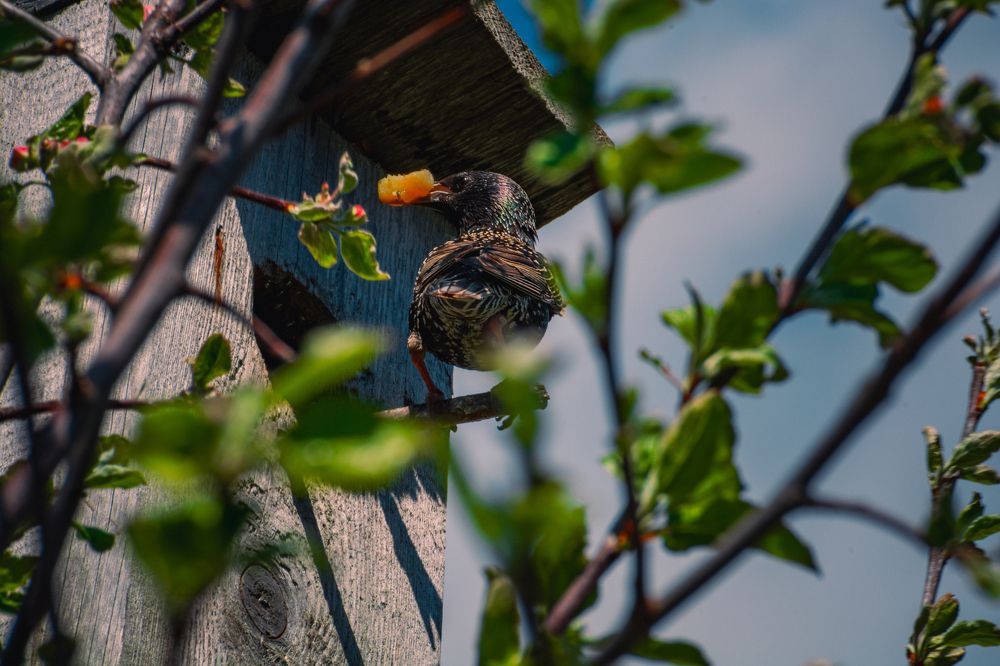 Photograph by Ольга Волкова