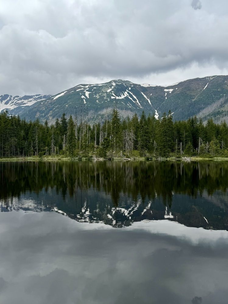 Фотография автора Светлана Герасимук