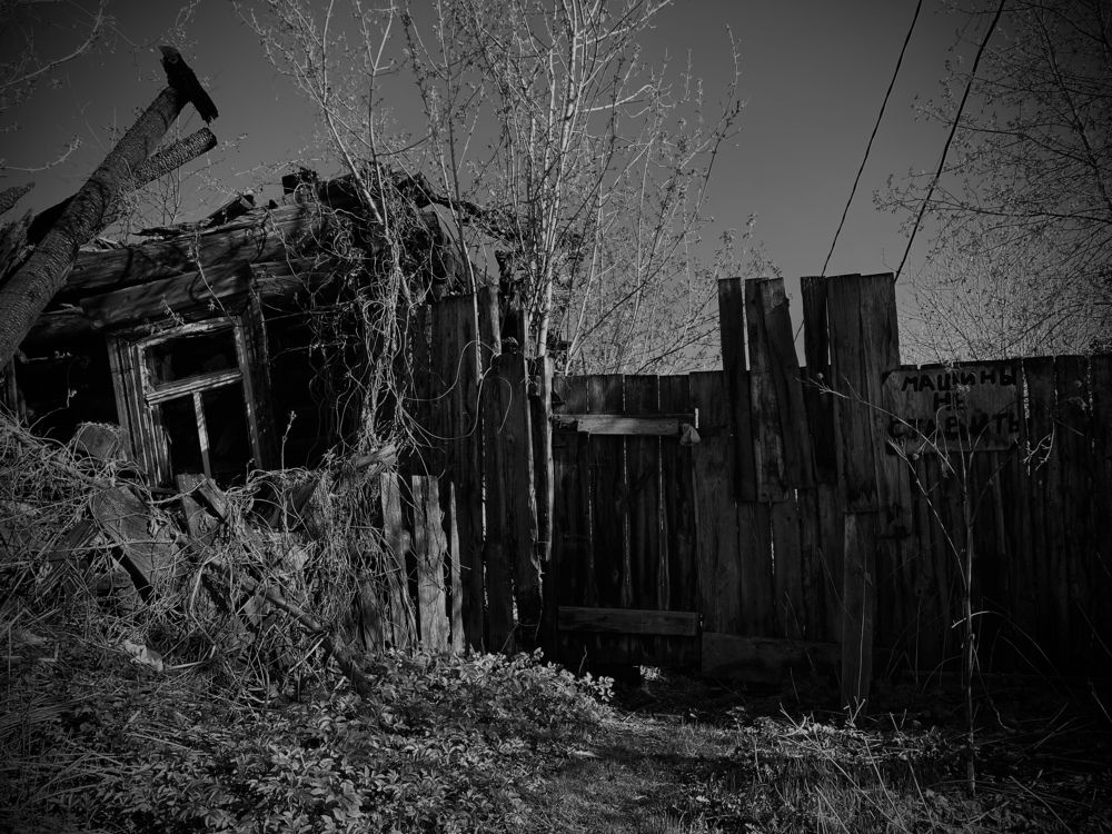 Photograph by Мария Халуторных