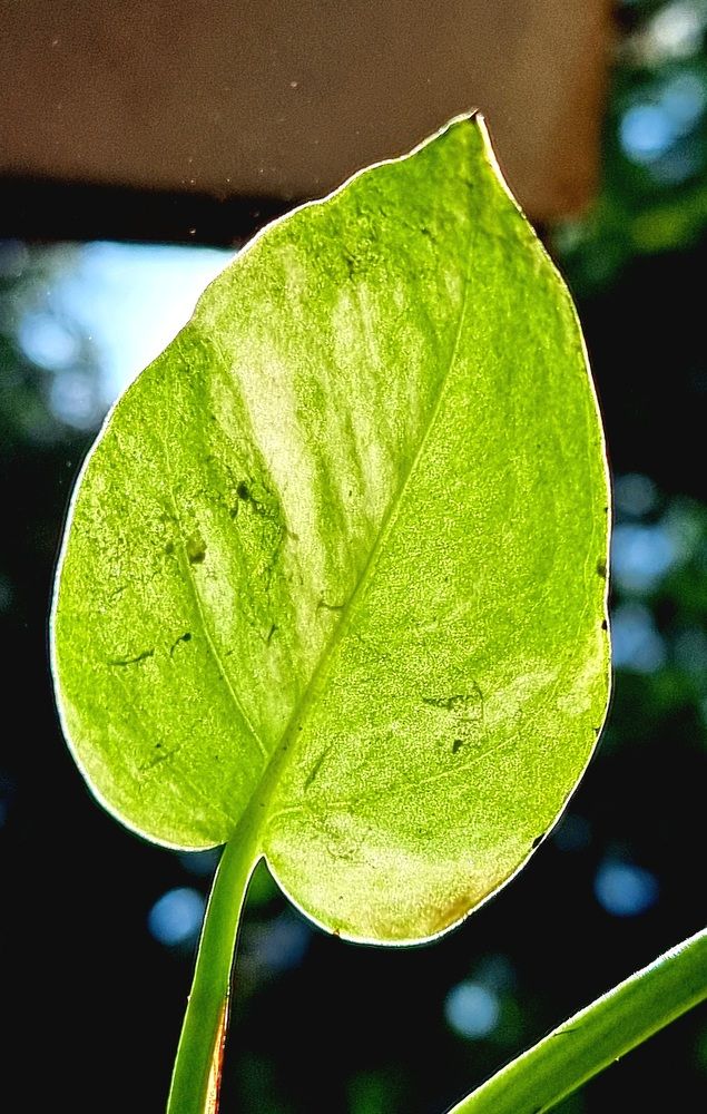 Photograph by Vignesh Ramachandran