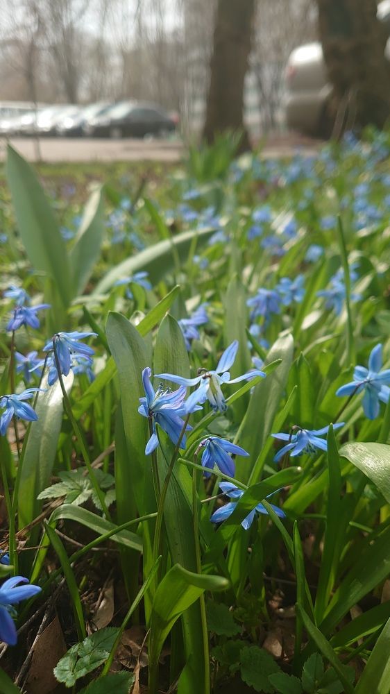 Photograph by Наталия Норина