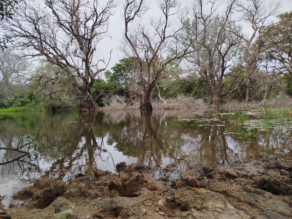 Photo #10634758