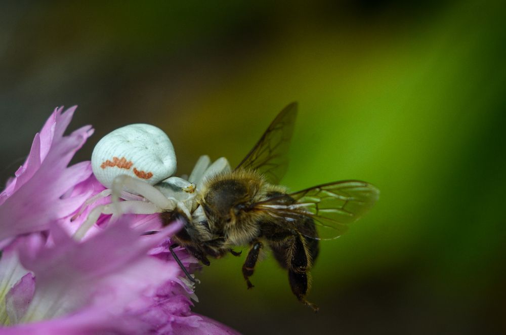 Photograph by Сергей Данилюк