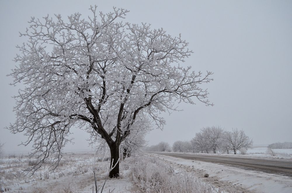 Photograph by Сергей Данилюк