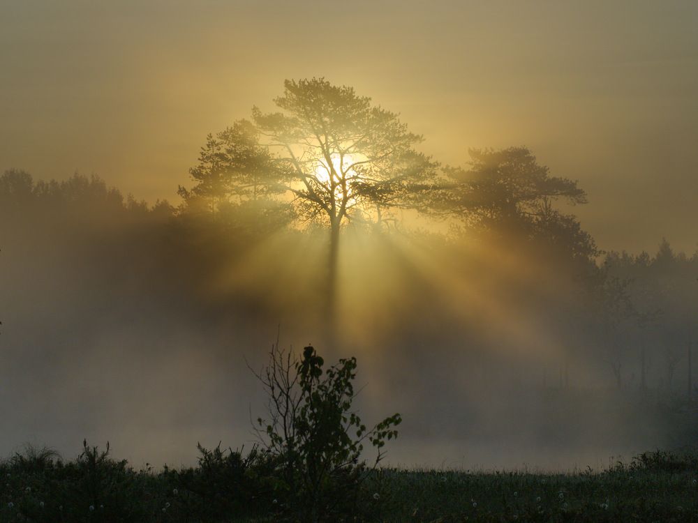 Photograph by 