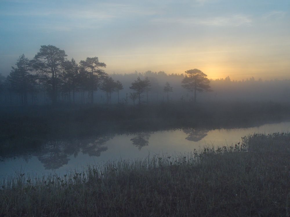 Photograph by 