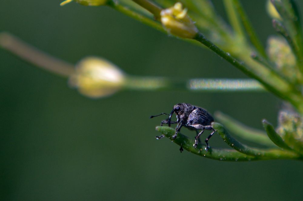 Photograph by Сергей Данилюк