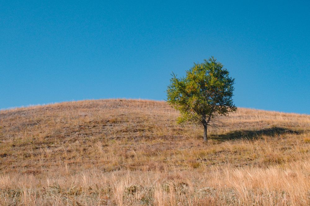 Photograph by Алла Никушкина