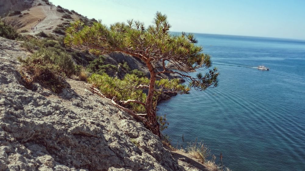 Photograph by Светлана Иванова