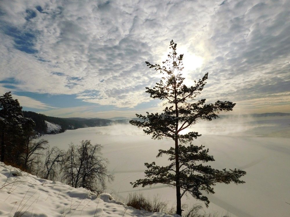 Photograph by Чкареули Светлана