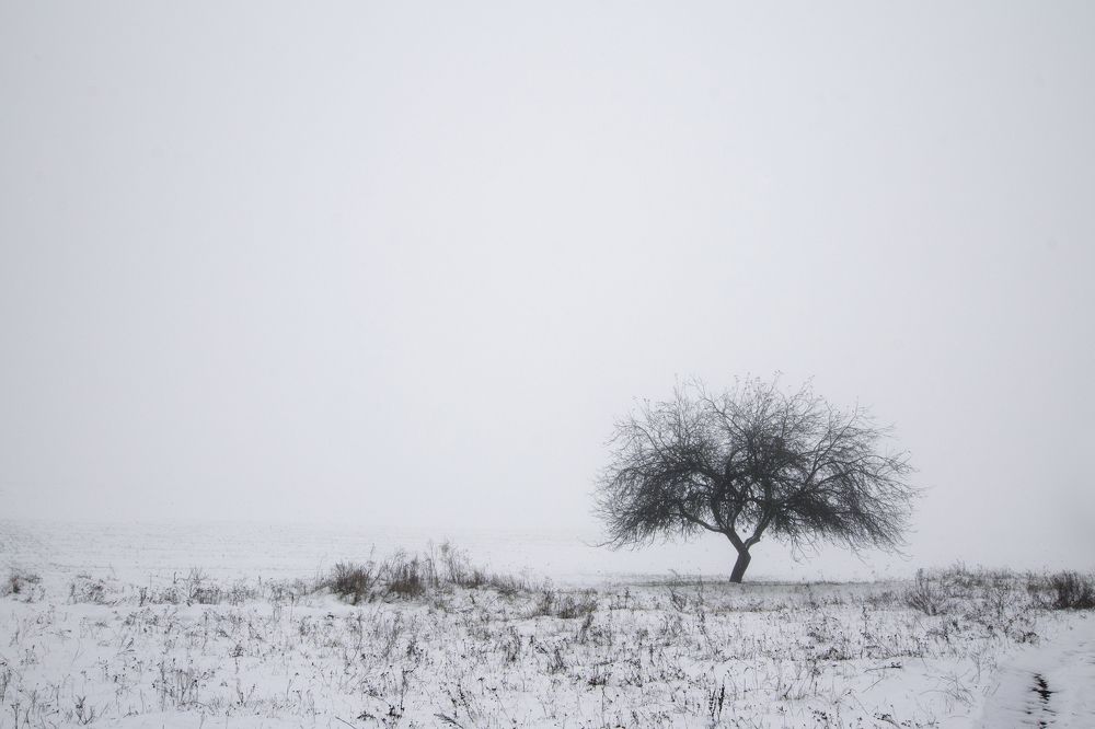 Photograph by Анна Евдокименко
