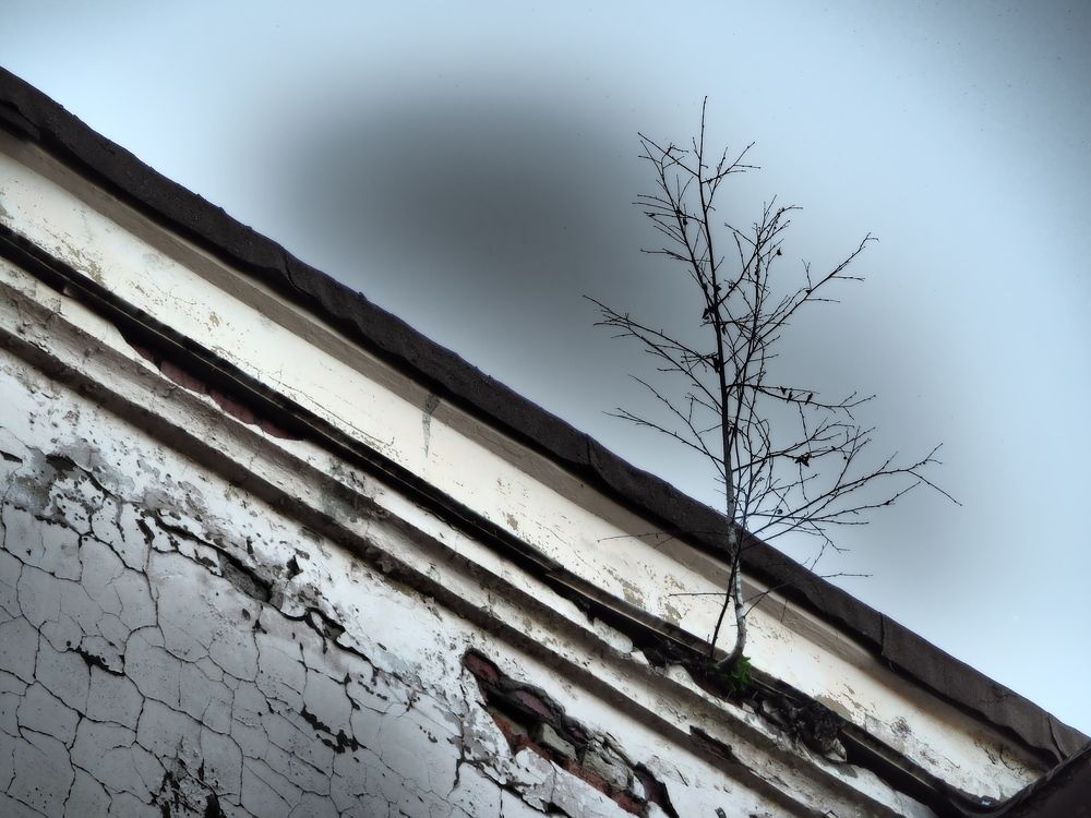 Photograph by Olga Nevedrova