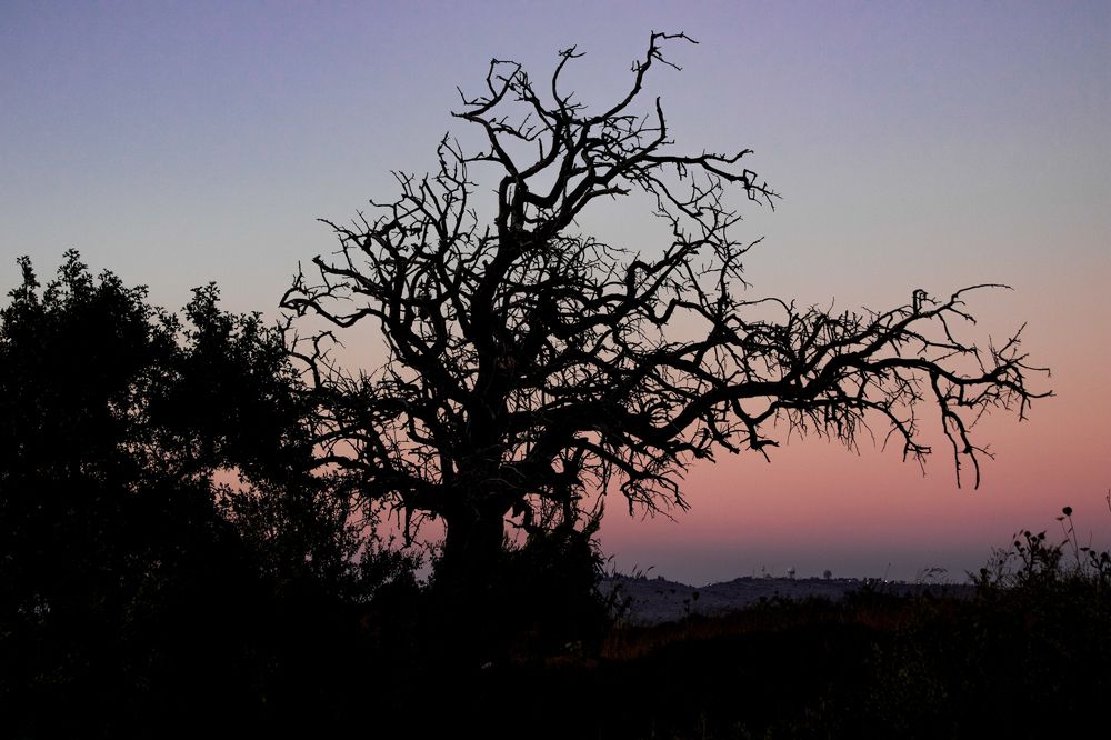 Photograph by Yael Ben yashar