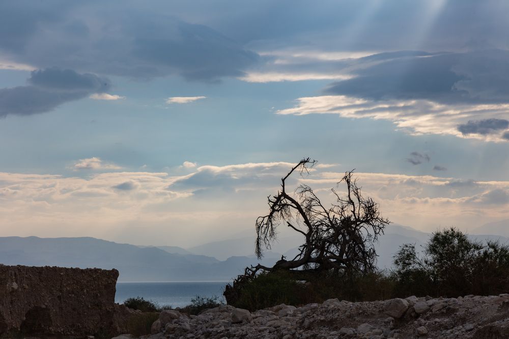 Photograph by Yael Ben yashar