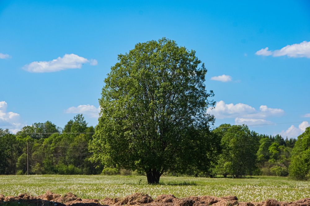 Photograph by Сергей Герасимов