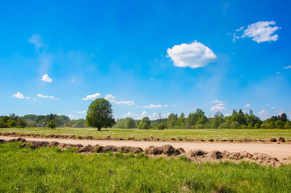 Photograph by Сергей Герасимов