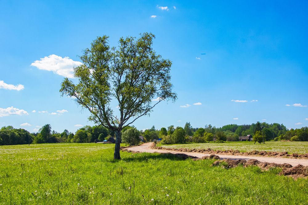 Photograph by Сергей Герасимов