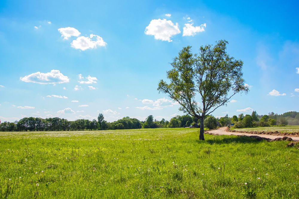 Photograph by Сергей Герасимов