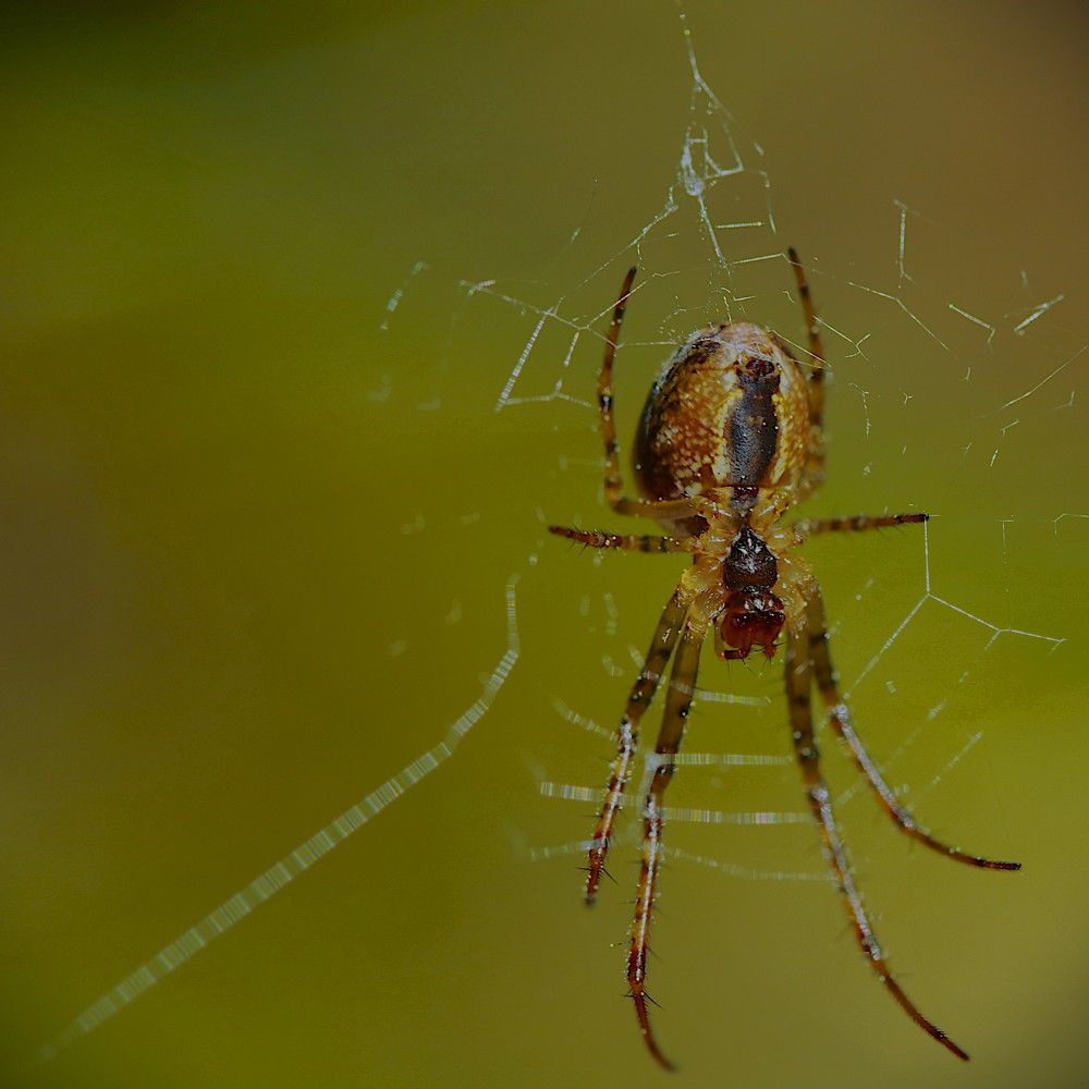 Photograph by Гагик Саркисян