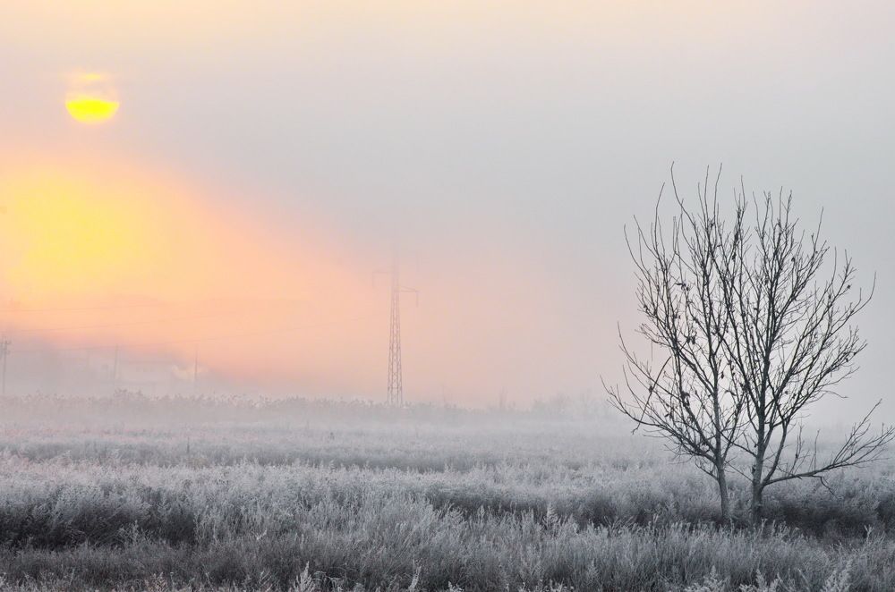 Photograph by Анатолий Святой