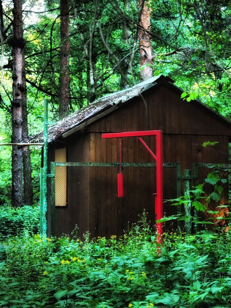 Photograph by Olga Nevedrova