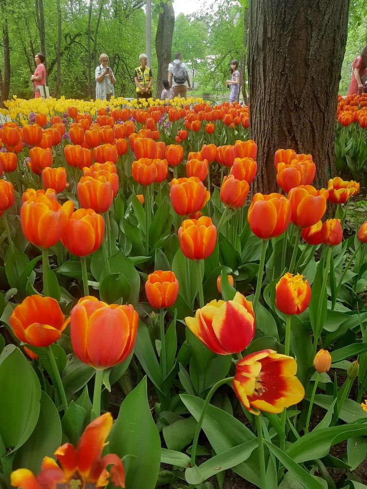 Photograph by Кирилл Грачев