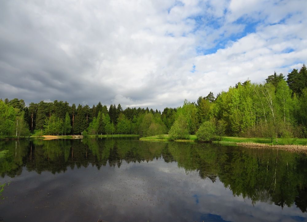 Отражение в пруду