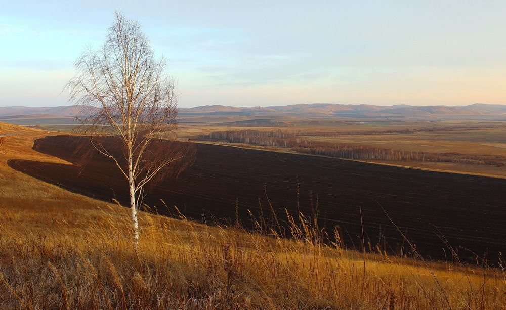 Photograph by Наталья Юрова