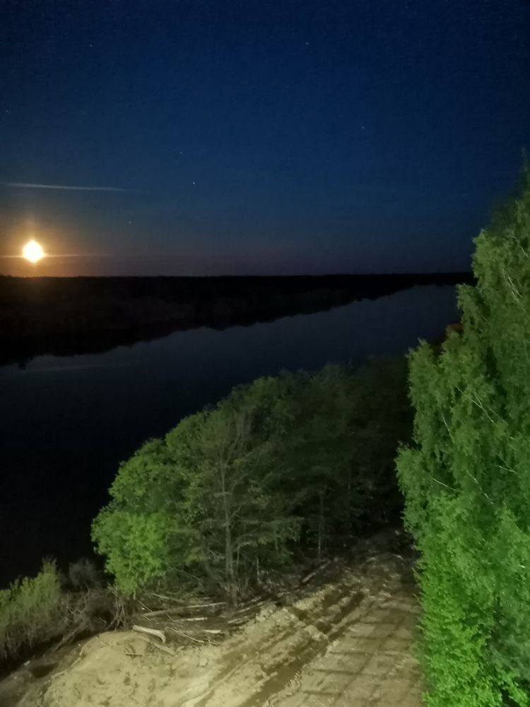 Photograph by Светлана Муравьева