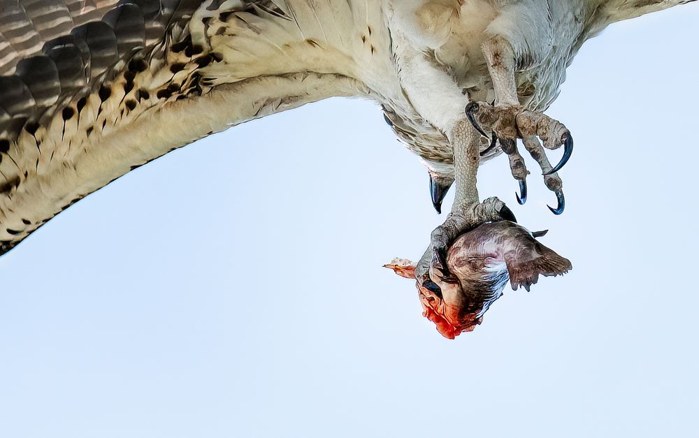 Фотография автора Liyan Dai