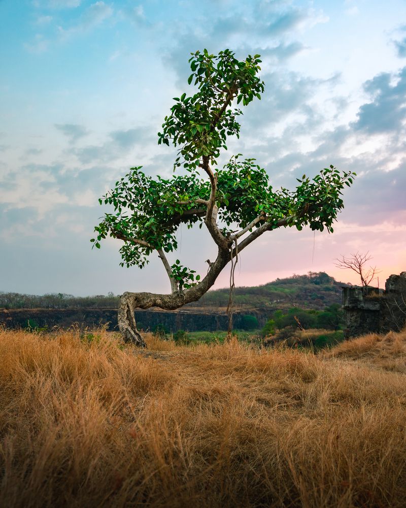 Photograph by Abhijeet Sawant