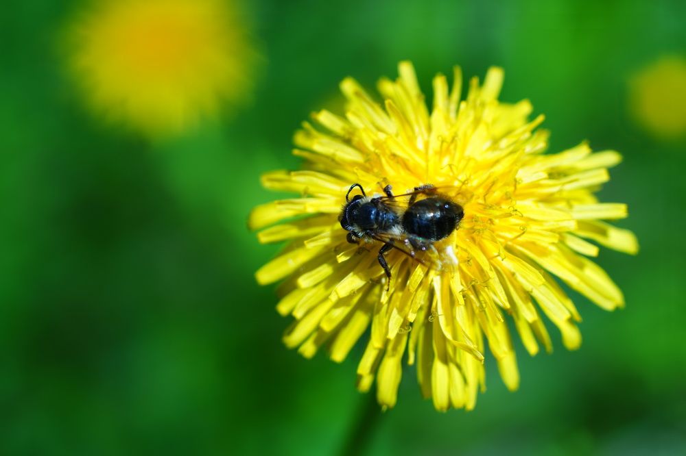 Photograph by Александр Кизим