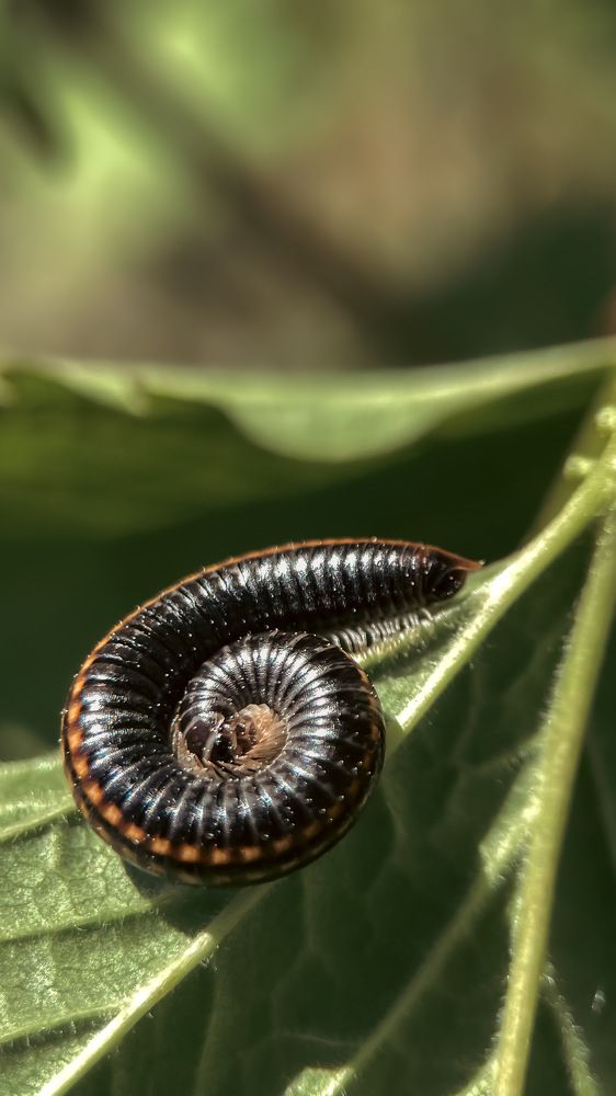 Photograph by Ольга Дорошенко
