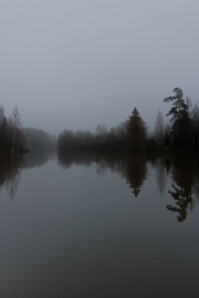 Photograph by Ольга Леонова