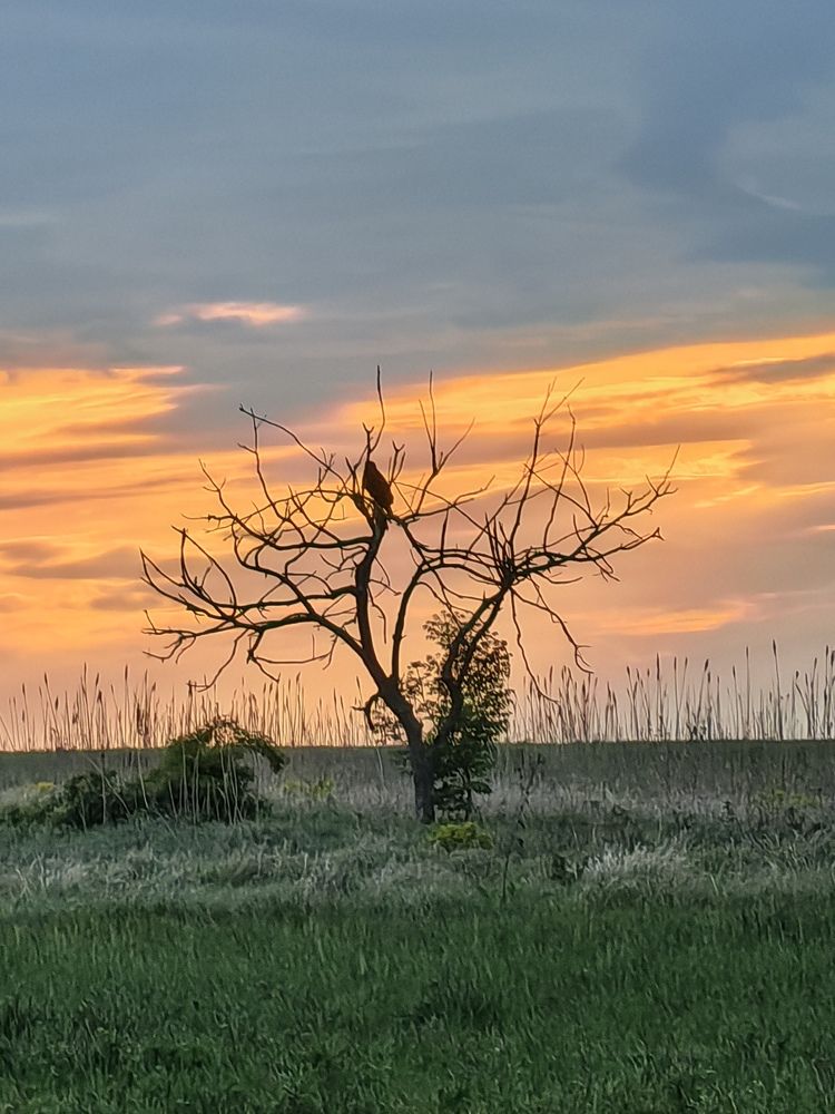 Photograph by Игорь М.