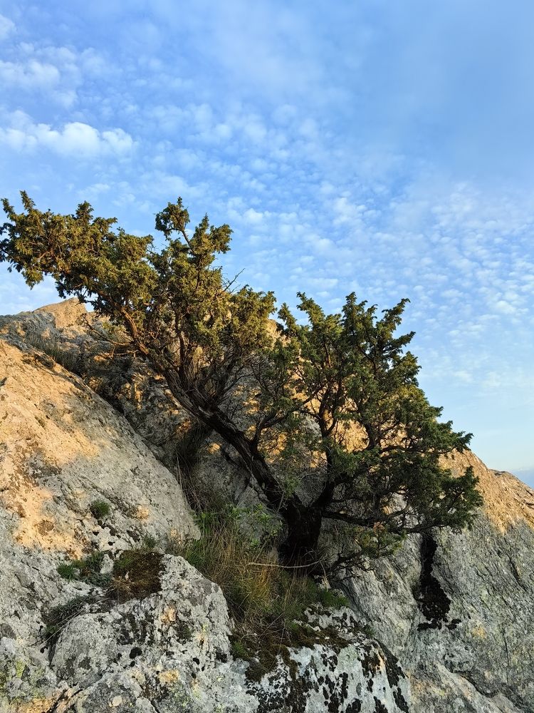 Photograph by Игорь М.